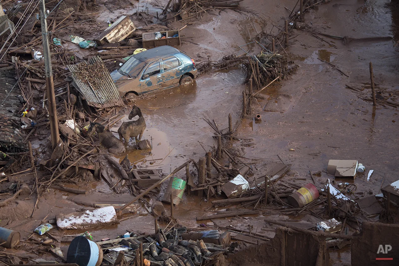  Horses struggle in the mud in the small town of Bento Rodrigues, Minas Gerais, Brazil after a dam burst on Friday, Nov. 6, 2015. Mud flowed into the village 4 miles (7 kilometers) downhill from the Samarco iron ore mine in the mountainous area. (AP 