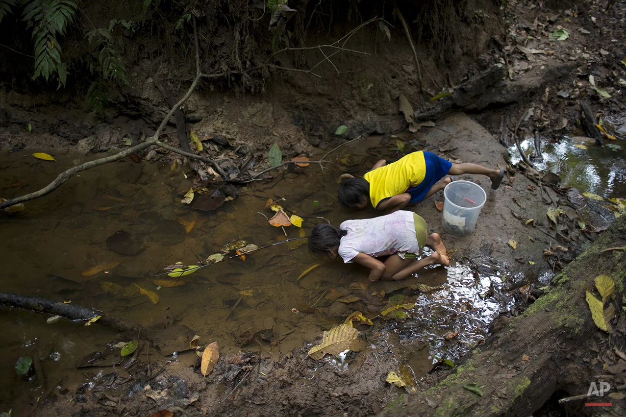 Peru Coca Eradicators Photo Gallery