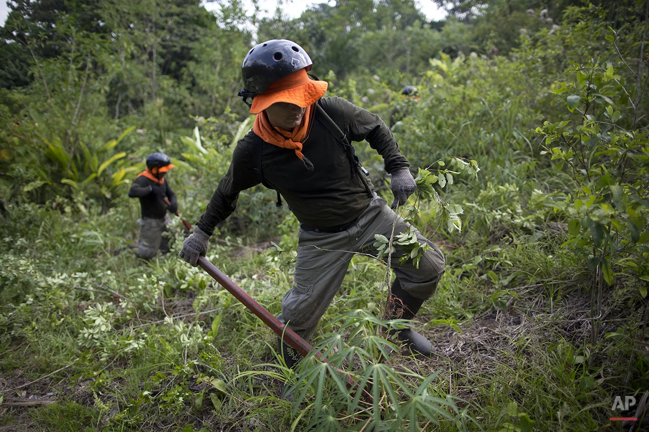 Peru Coca Eradicators Photo Gallery