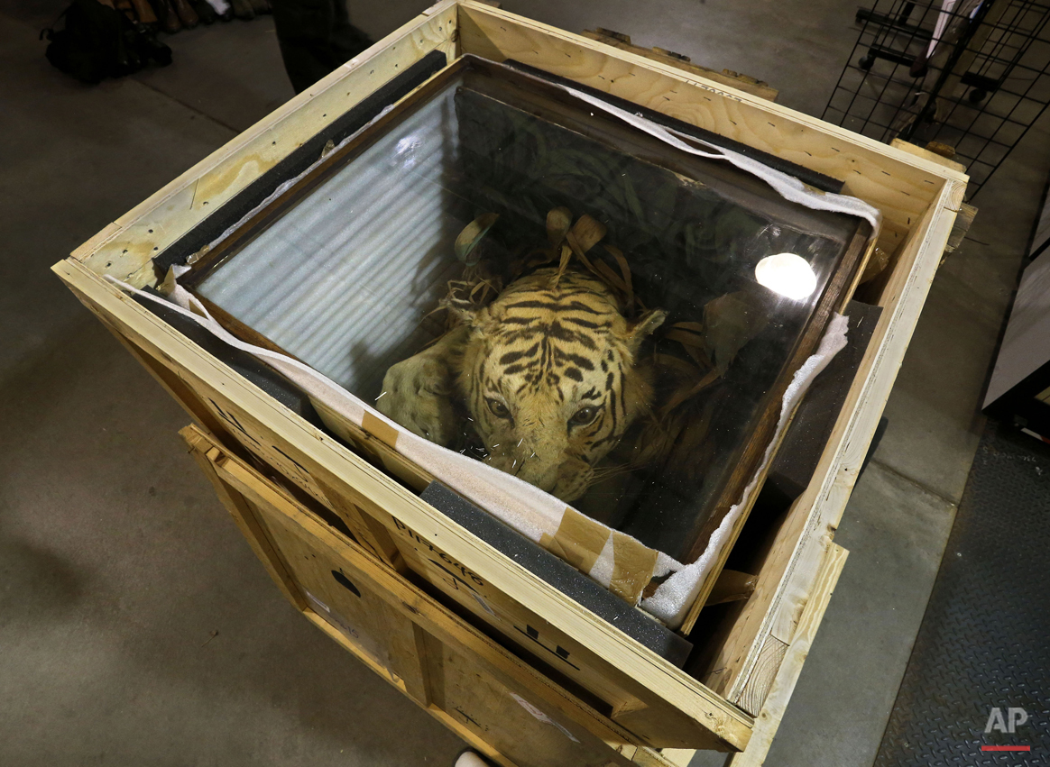 Pictures Of The Week Endangered Species Warehouse Photo Gallery