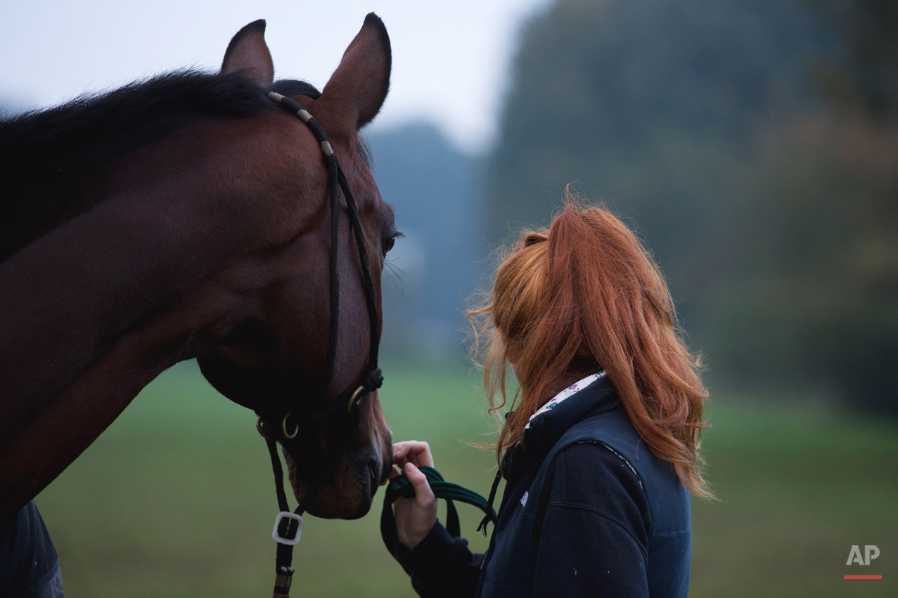 Netherlands Eventing Photo Gallery