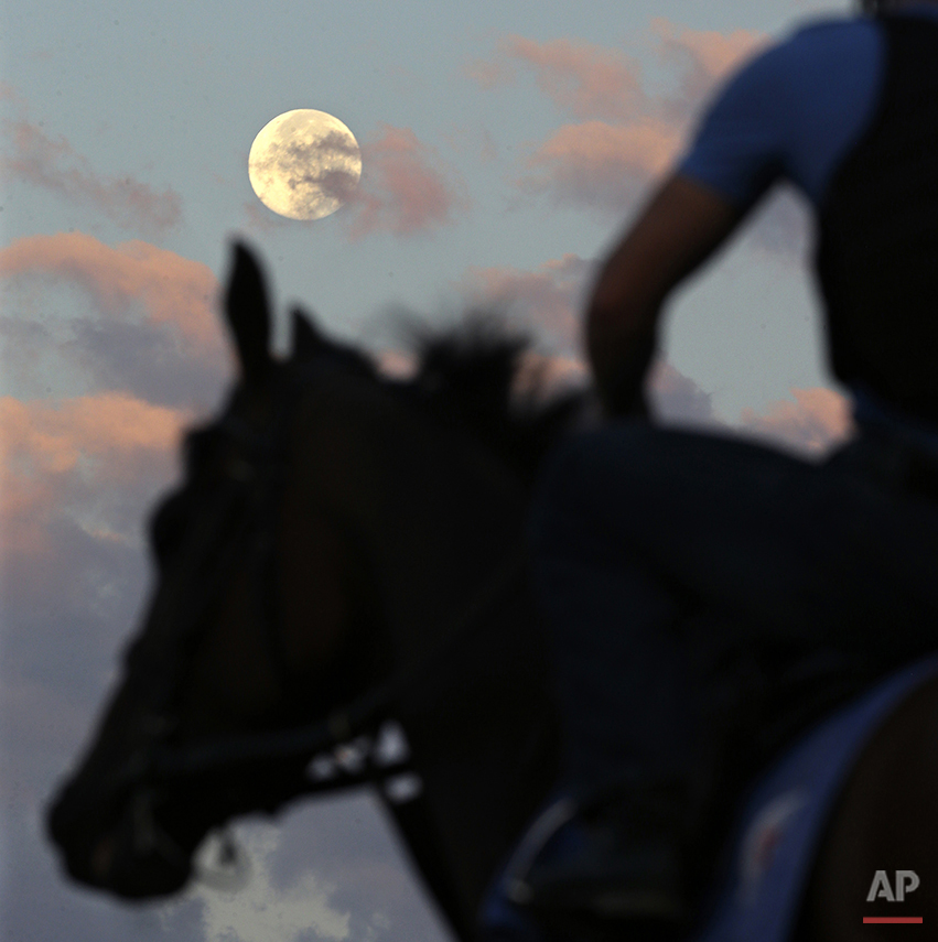 APTOPIX Haskell Horse Racing