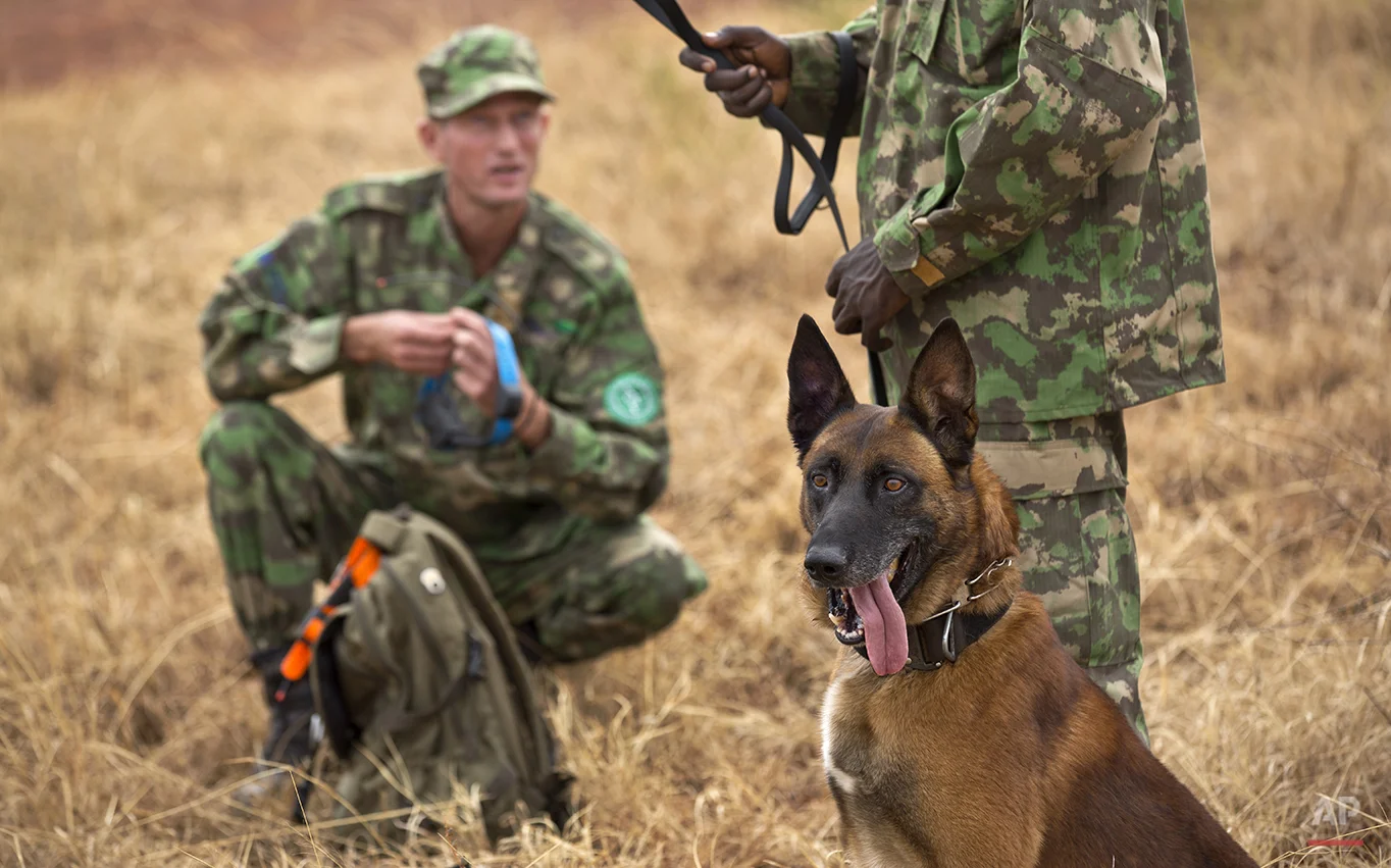 Rwanda Tracker Dogs