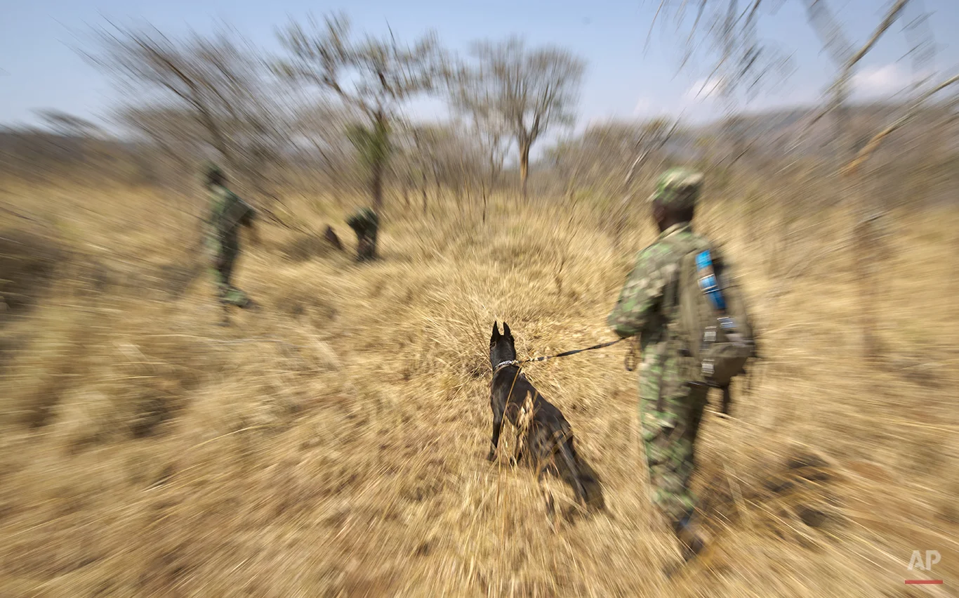 Rwanda Tracker Dogs