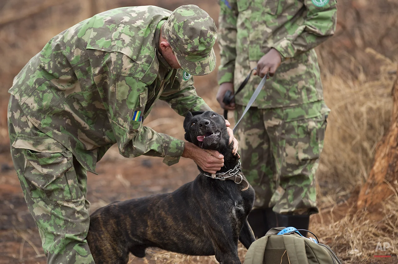 Rwanda Tracker Dogs
