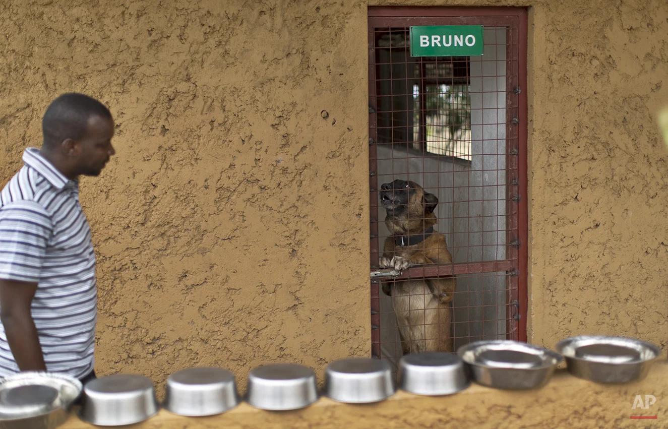 Rwanda Tracker Dogs