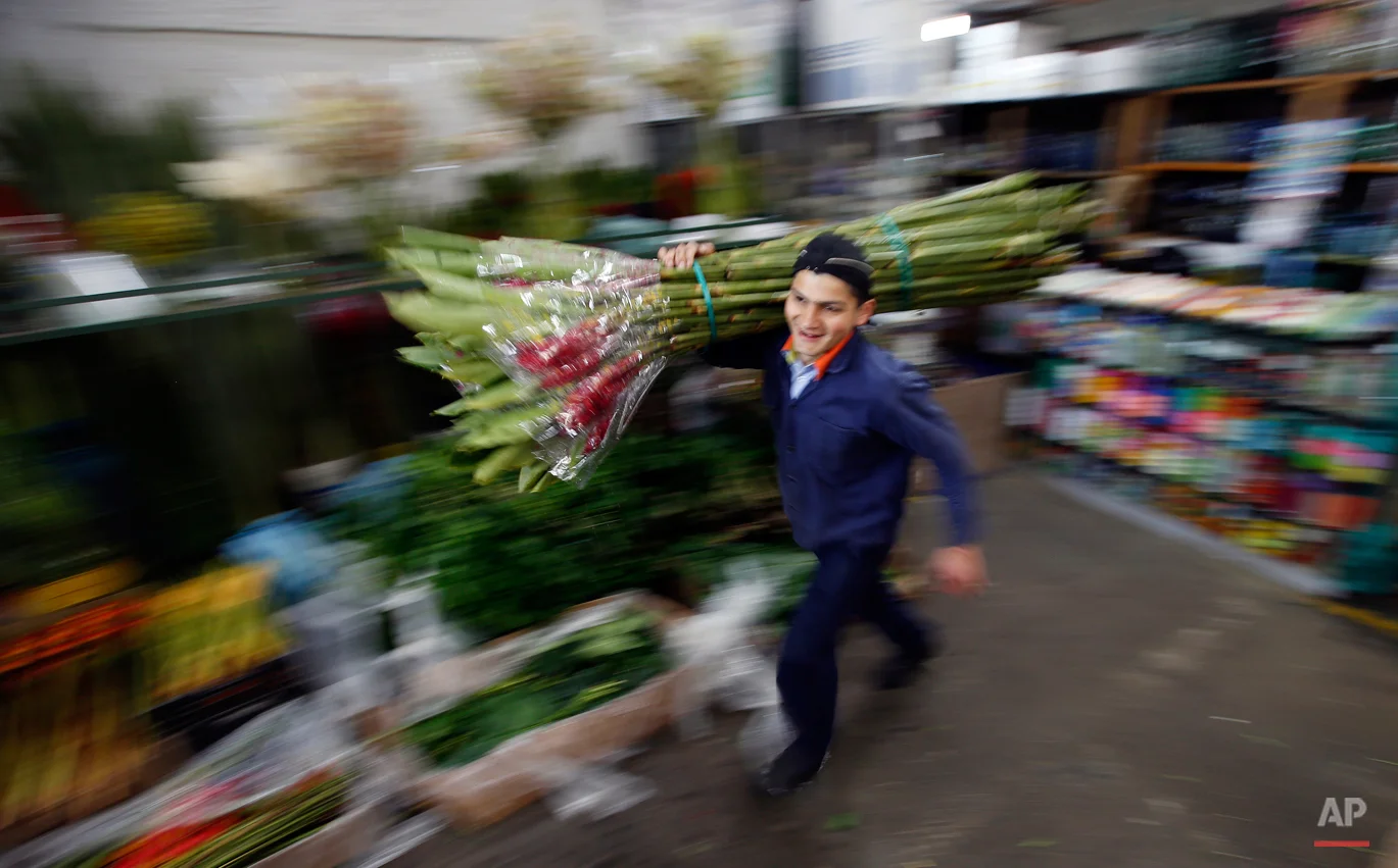 Flower salesman Nelson Calderon carries a package of ginger flowers at the Paloquemao market in Bogota, Colombia, Wednesday, Aug. 19, 2015. Flower growers expect the sliding of the Colombian peso, which has dropped to the lowest level in more than a decade, will help make their product more competitive. Colombia is one of the biggest exporters of flowers in the world. (AP Photo/Fernando Vergara)