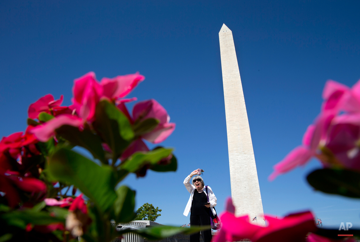  Thea Jones, framed by flowers, waves to her grandchildren to come and have their photograph taken at a good spot she found near Washington Monument in Washington, Thursday, Aug. 13, 2015. Clear blue skies and temperatures in the eighties make for a 