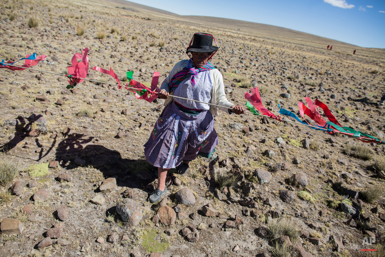 Peru Vicuna Shearing Festival Photo Gallery