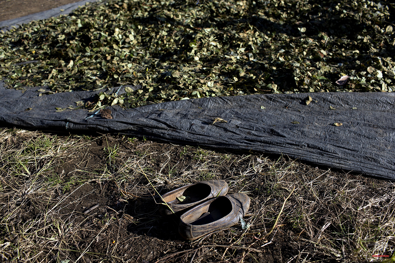 Peru Coca Farmers Photo Gallery