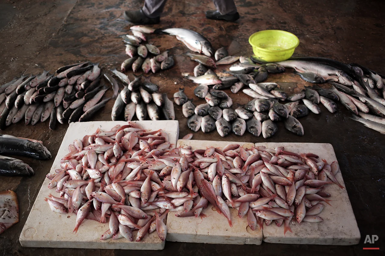 APTOPIX Mideast Gaza Fish Farms