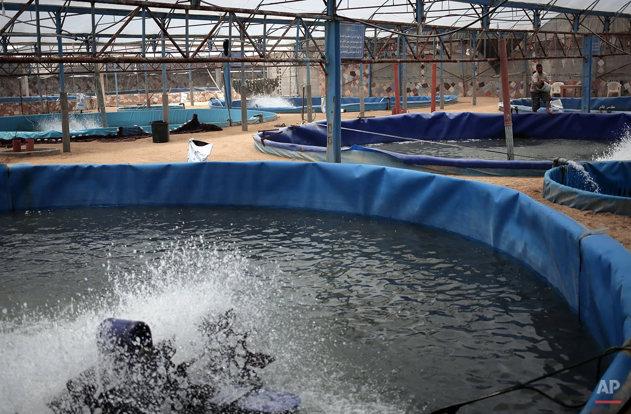 Mideast Gaza Fish Farms