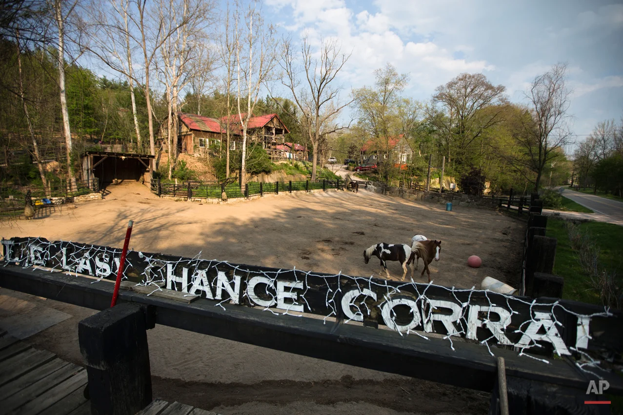 Last Chance Corral Photo Gallery