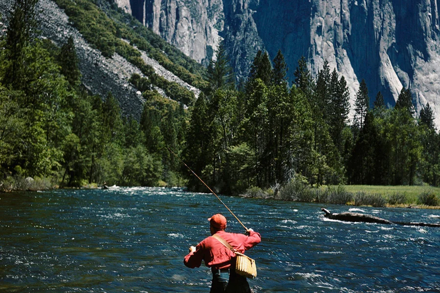 Archivist update: Yosemite