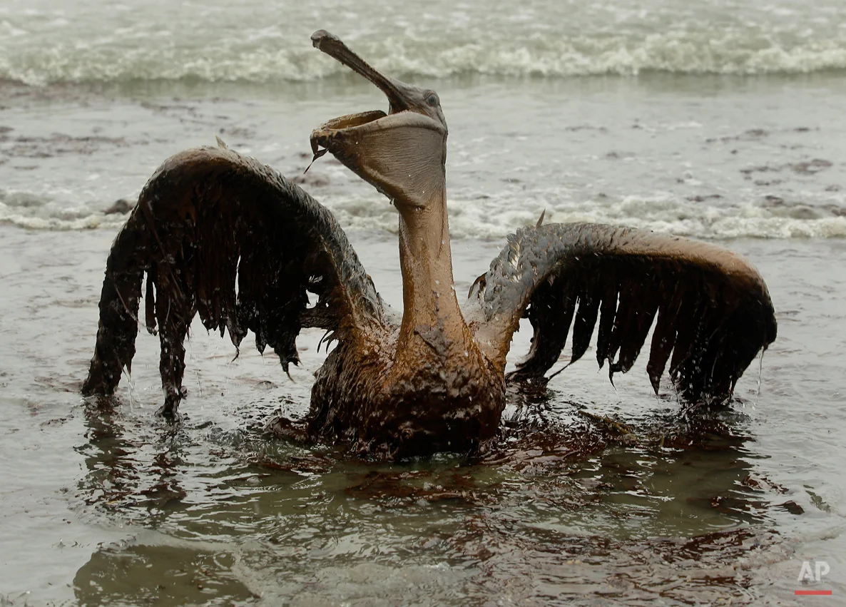 Gulf Oil Spill Iconic Images