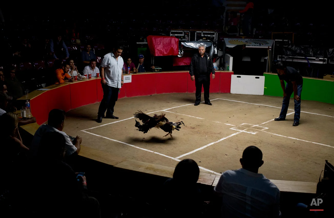 Mexico Texcoco Fair Photo Gallery