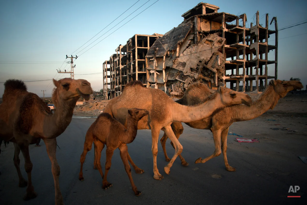 Middle East In Review
