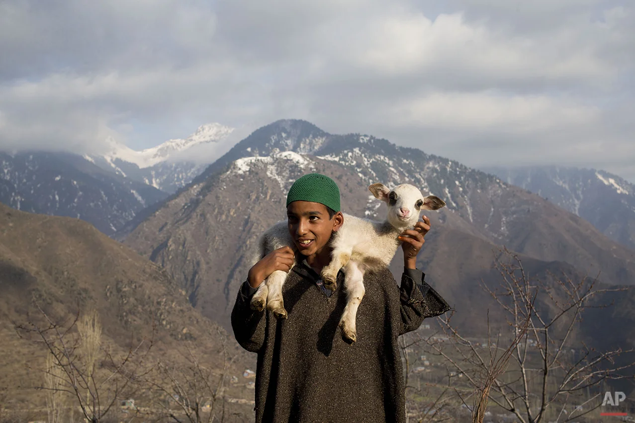 India Kashmir Daily Life