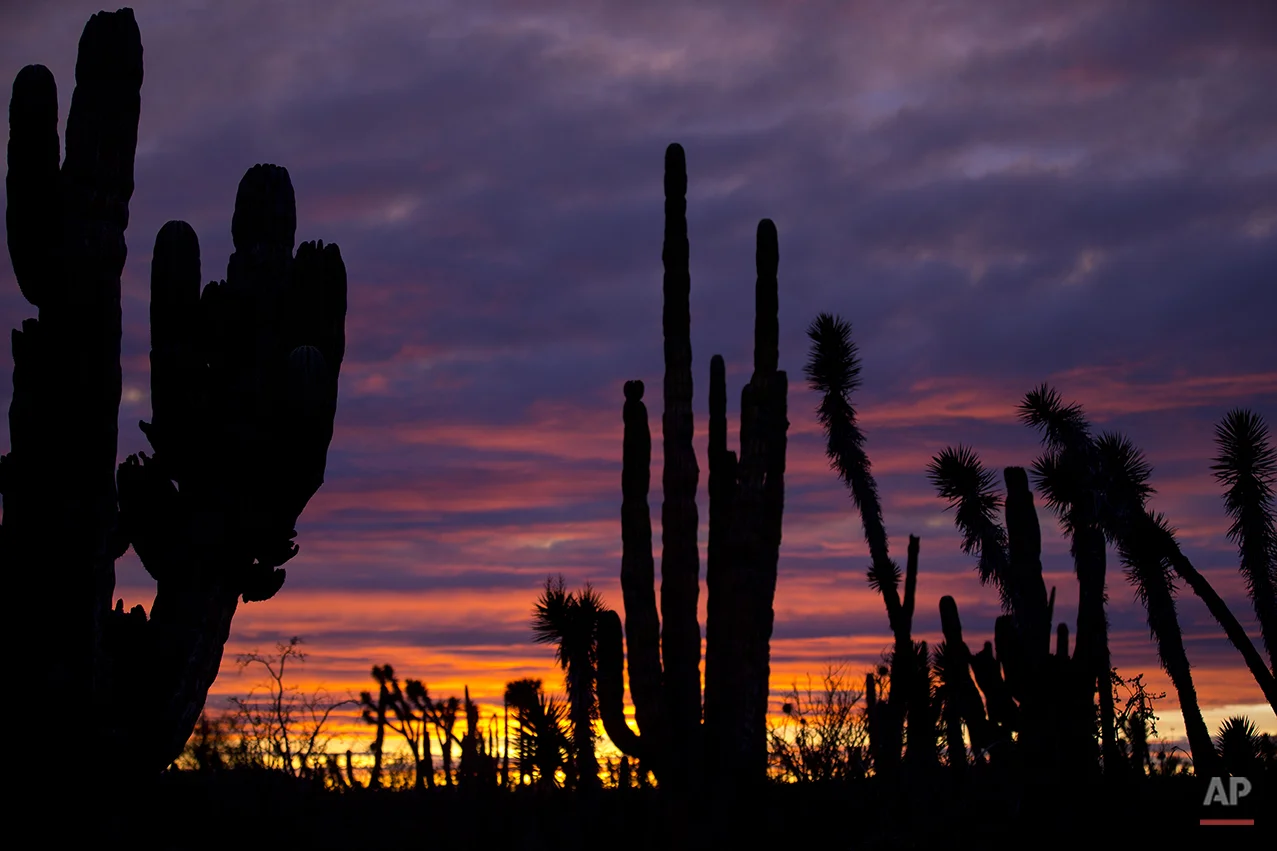 Mexico Baja Tourism Photo Gallery
