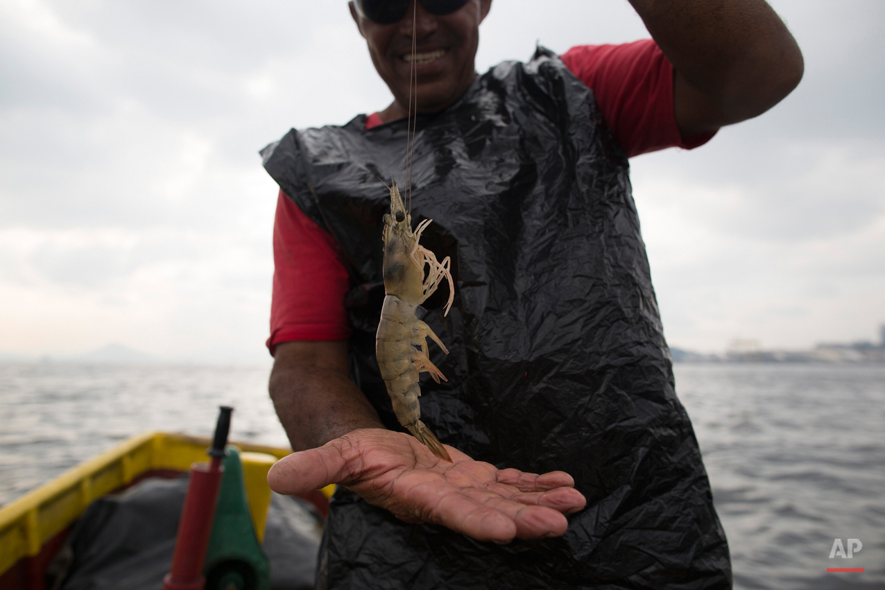 Brazil Polluted Bay Photo Essay