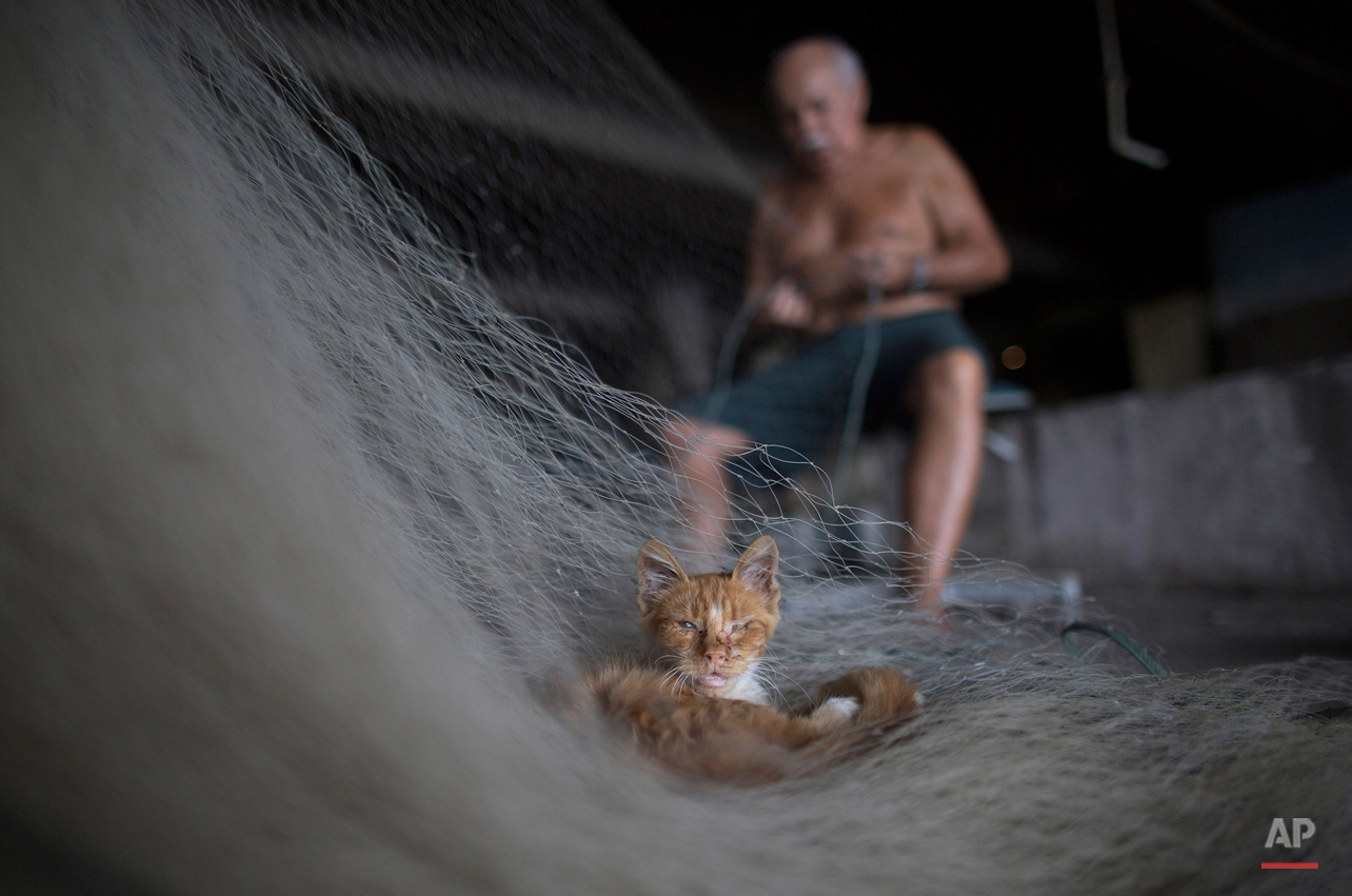 APTOPIX Brazil Polluted Bay Photo Essay