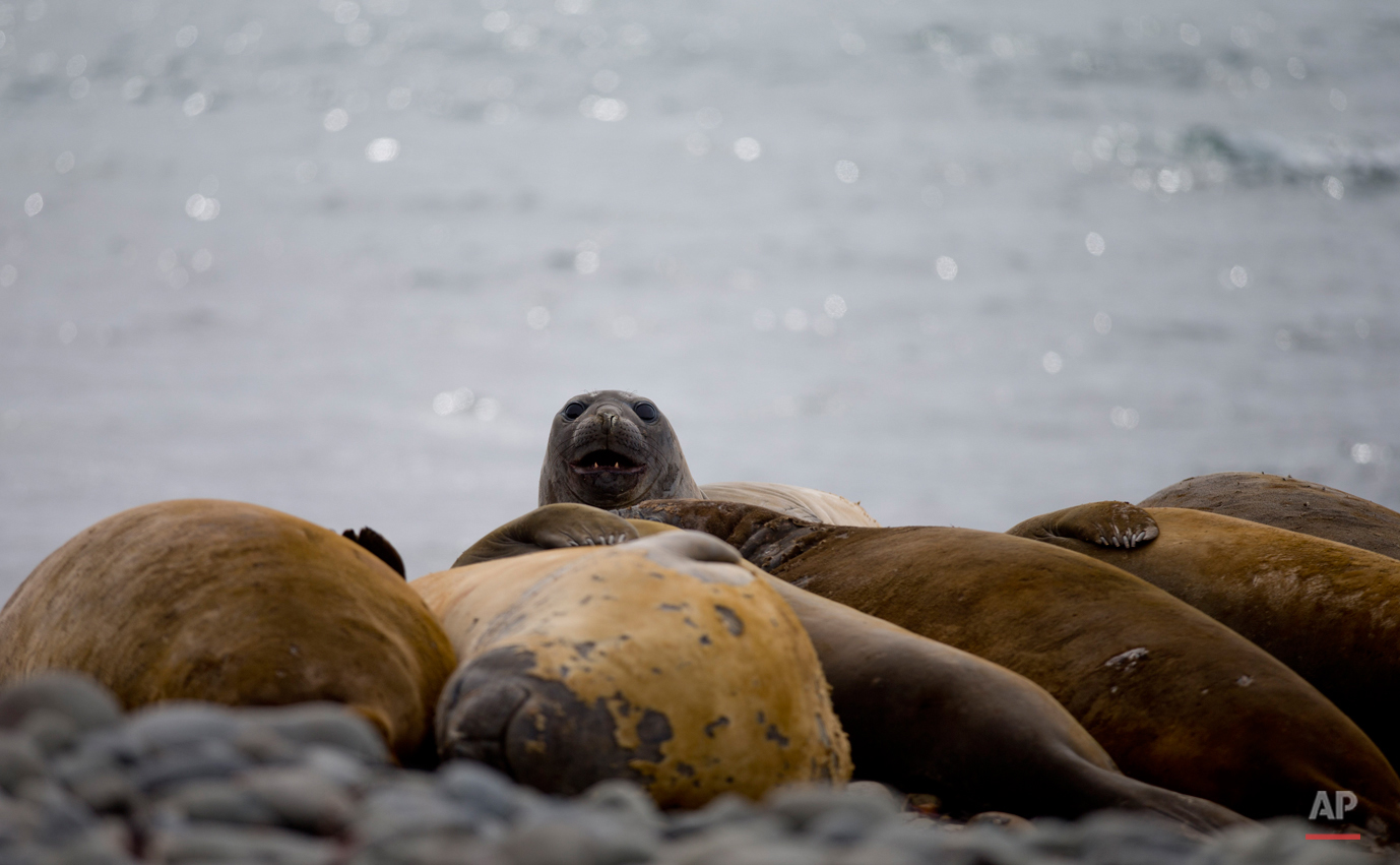 Antarctica Tourism