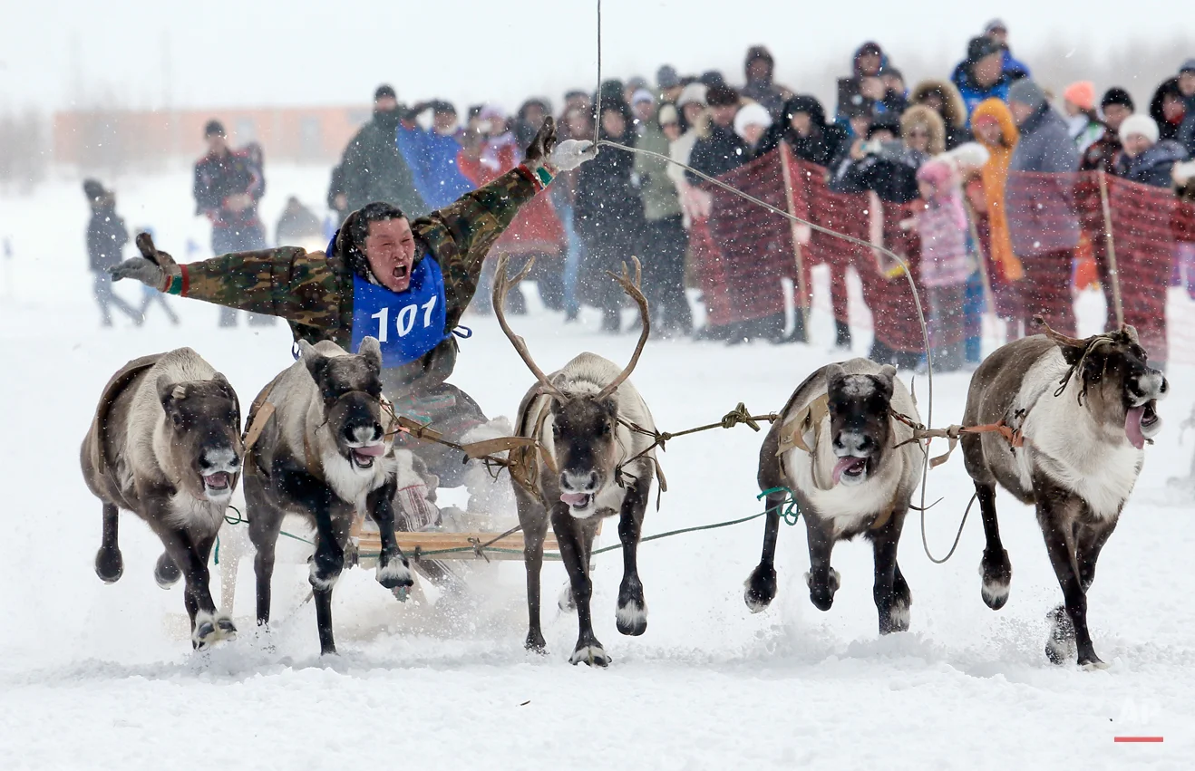 APTOPIX Russia Reindeer Herderís Day