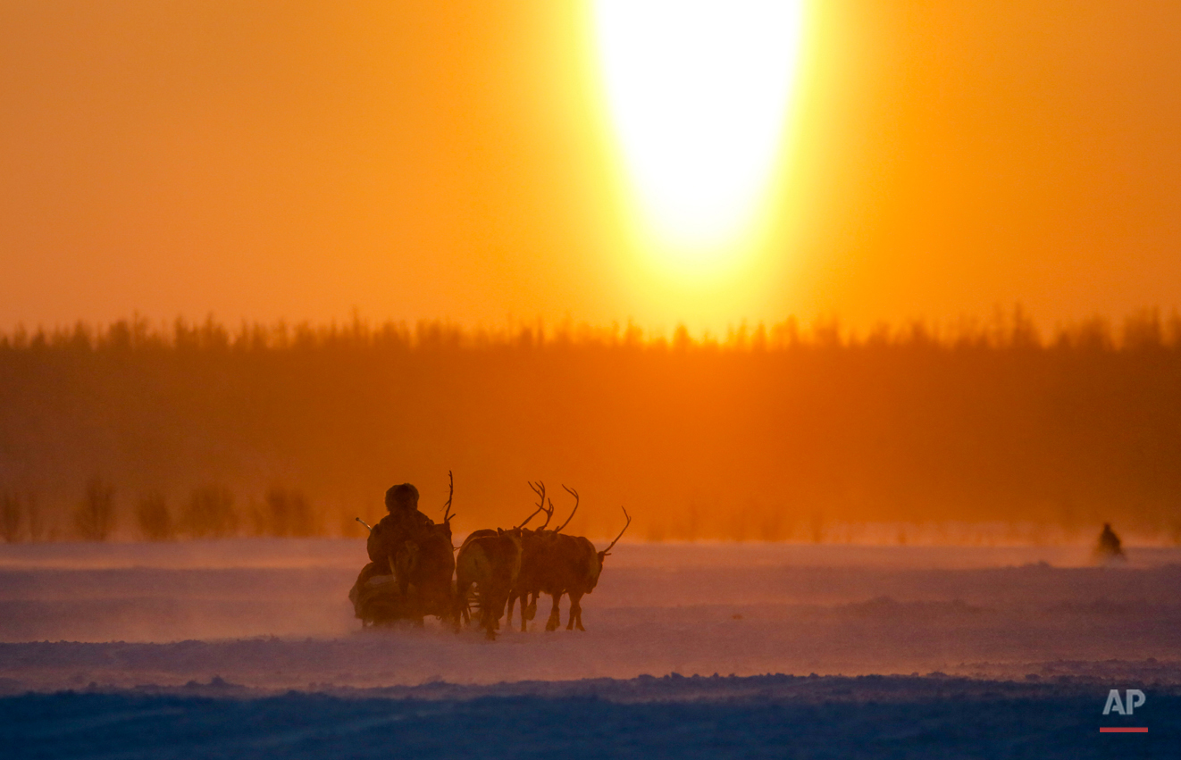 Russia Reindeer Herderís Day