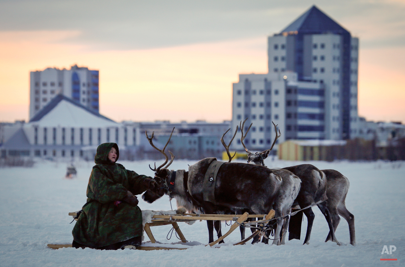 Russia Reindeer Herderís Day