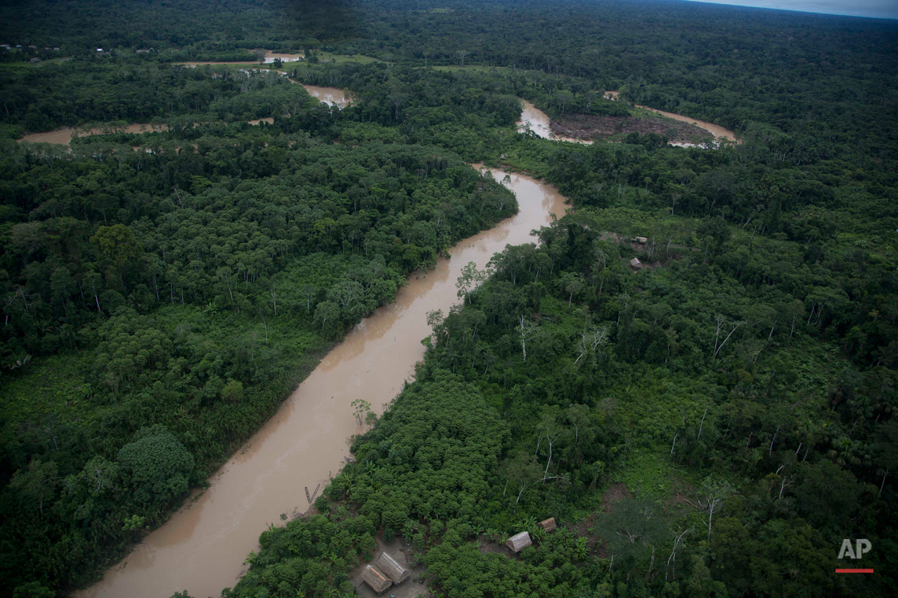 Peru Illegal Logging Photo Gallery