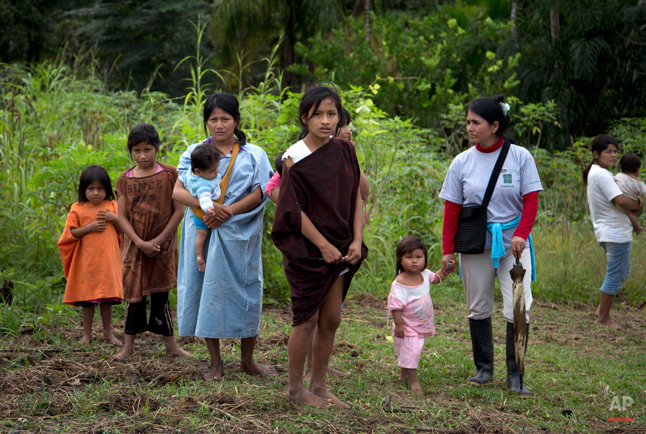 Peru Illegal Logging Photo Gallery