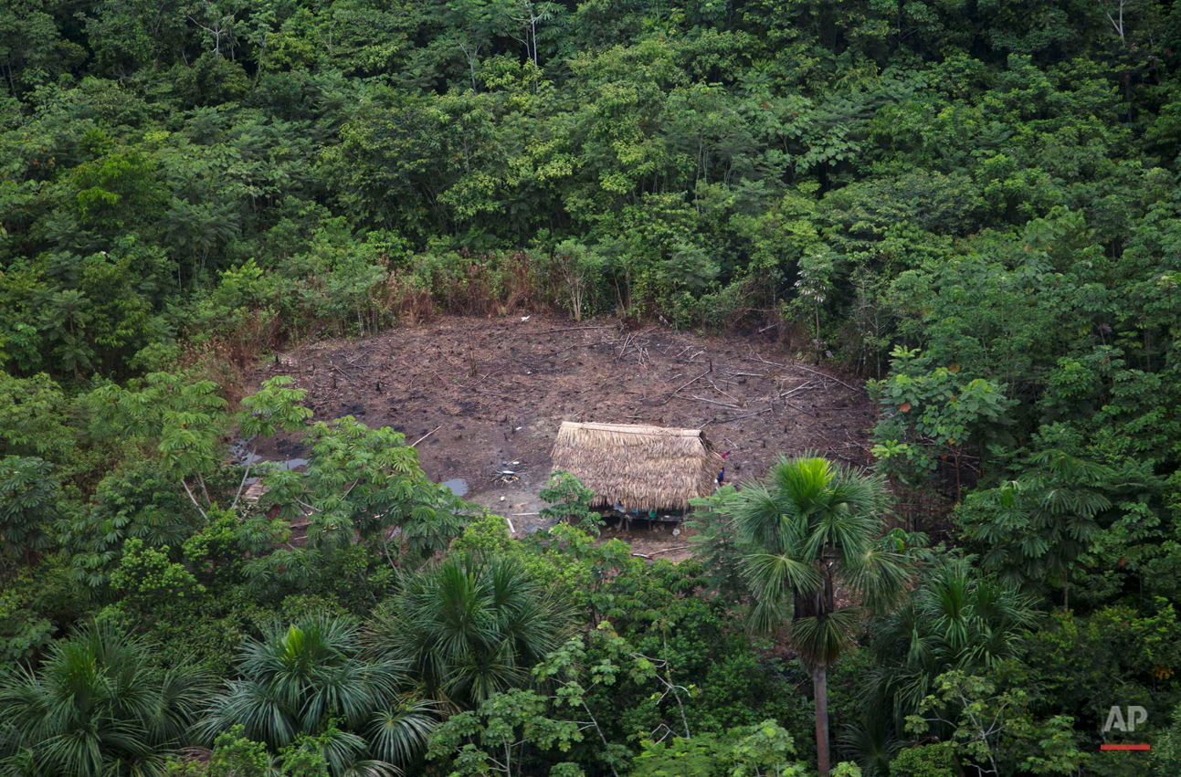 Peru Illegal Logging Photo Gallery