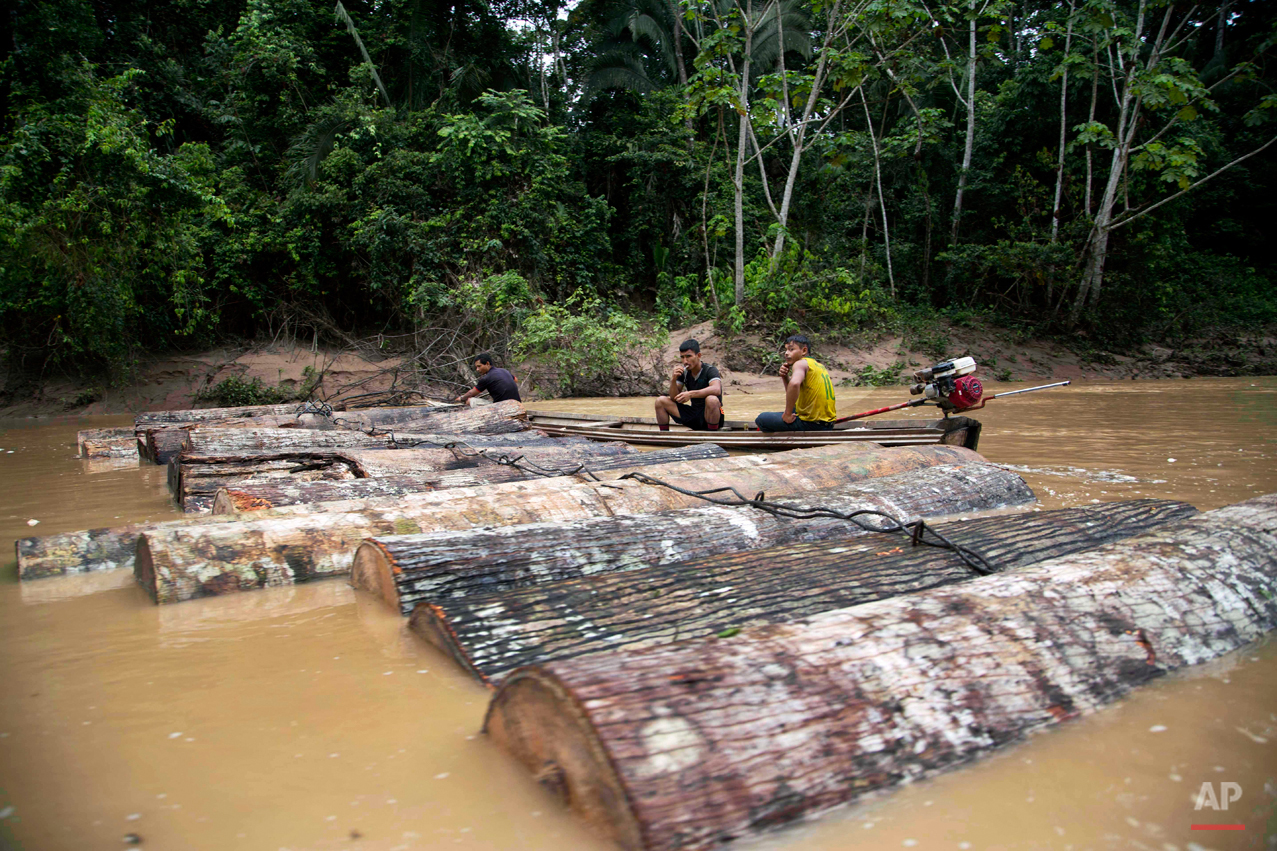 APTOPIX Peru Illegal Logging Photo Gallery