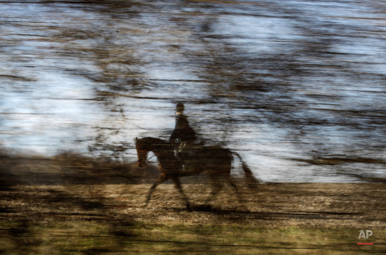 APTOPIX US Fox Hunting Photo Essay