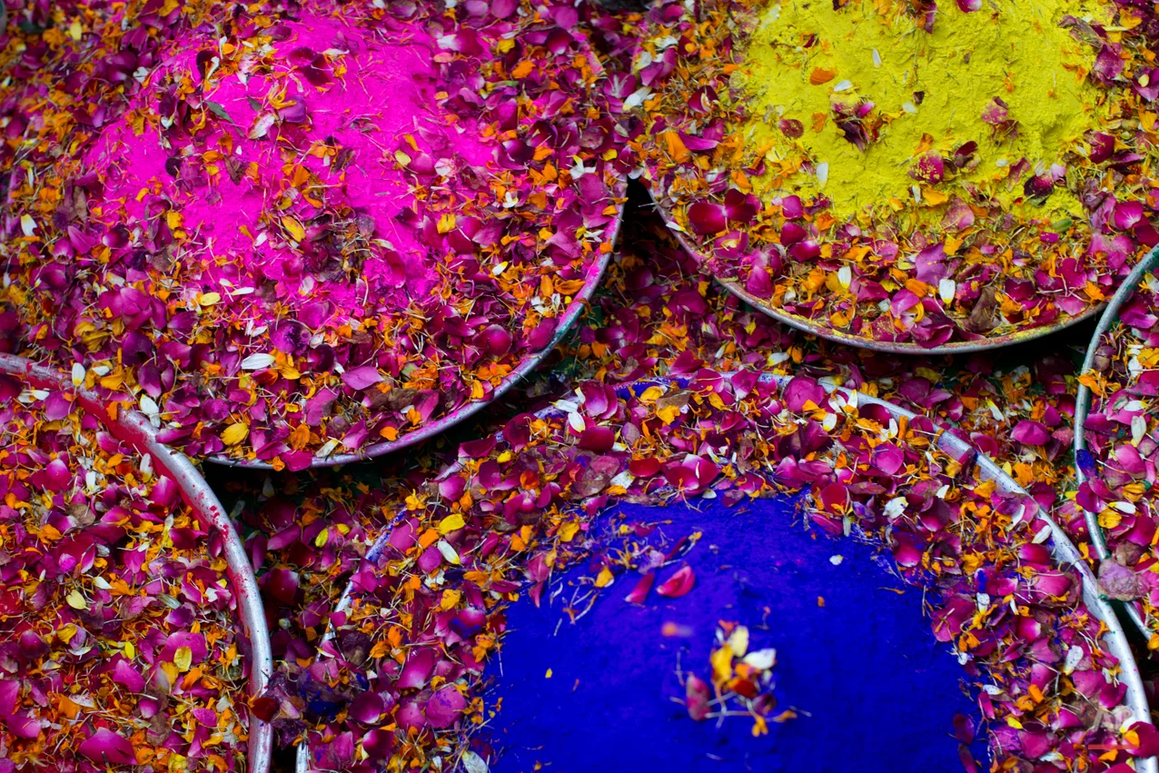 In this Tuesday, March 3, 2015 photo, trays filled with colored powder and flower petals lie on a floor to be used by widows to celebrate Holi, the Hindu festival of colors, at the Meera Sahabhagini Widow Ashram in Vrindavan, India. After their husband's deaths many of the women in the ashrams have been banished by their families, for supposedly bringing bad luck, while some move voluntarily to and around the town where devotees believe Lord Krishna was born. (AP Photo/Bernat Armangue)