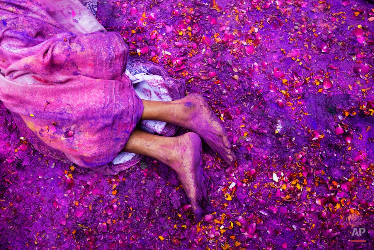 A Hindu widow lies on a sludgy ground filled with a mixture of colored powder, water and flower petals during celebrations to mark Holi, the Hindu festival of colors, at the Meera Sahabhagini Widow Ashram in Vrindavan, India, Tuesday, March 3, 2015. After their husband's deaths many of the women in the ashrams have been banished by their families, for supposedly bringing bad luck, while some move voluntarily to and around the town where devotees believe Lord Krishna was born. (AP Photo/Bernat Armangue)