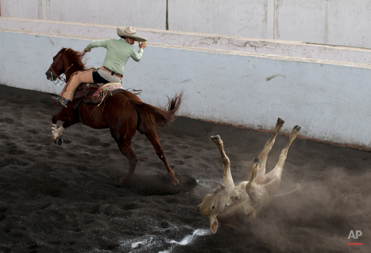 Mexico Charreria Photo Gallery