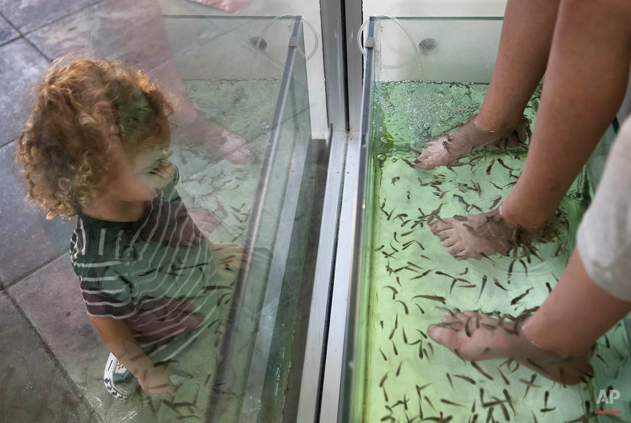A little boy watches two Israeli girls immerse their feet in a fish tank with Garra rufa, also known as Doctor fish, during a pedicure treatment at a salon in Tel Aviv, Israel, Monday, June 27, 2011. (AP Photo/Dan Balilty)