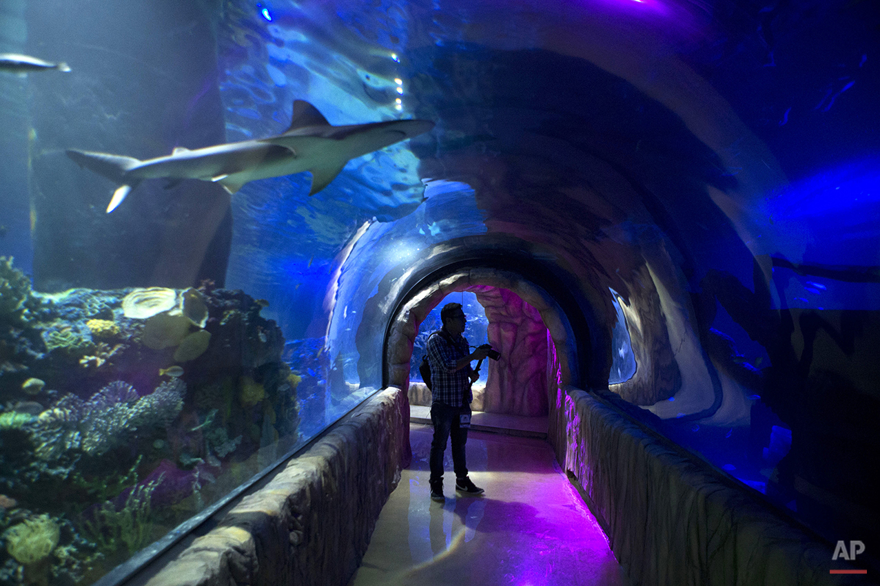 Mexico Aquarium