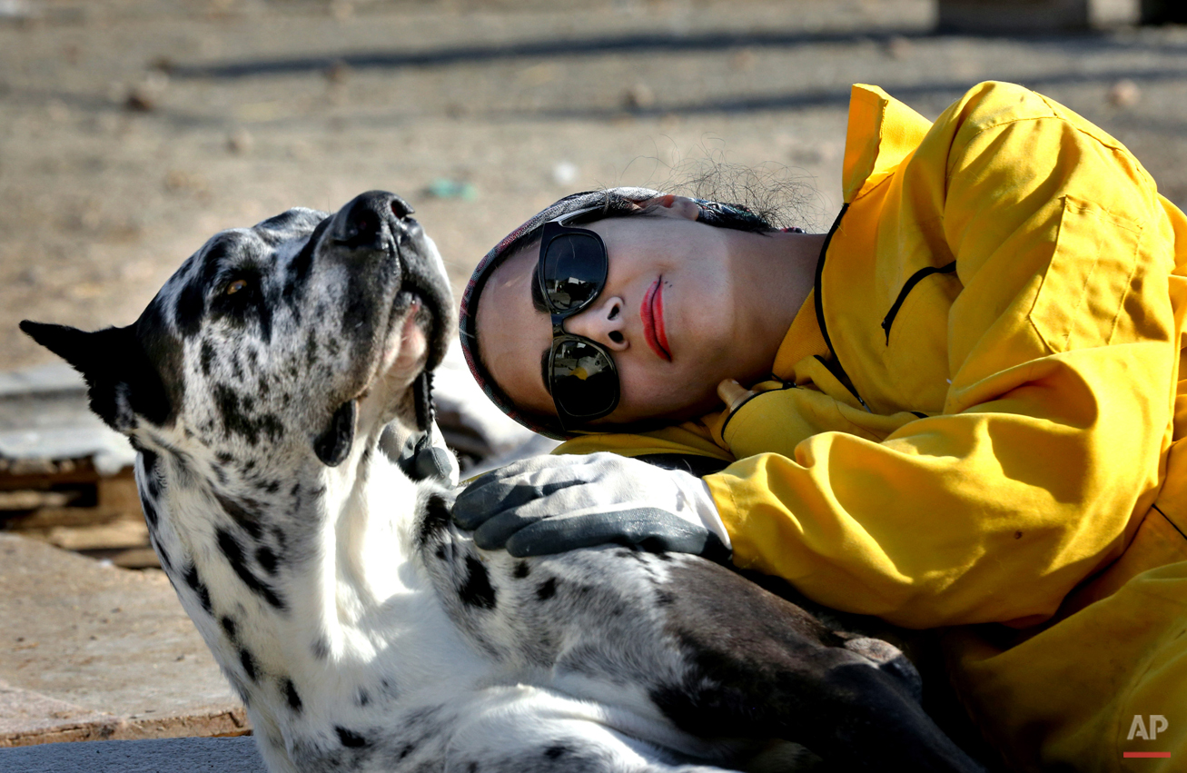 APTOPIX Mideast Iran Dog Shelter