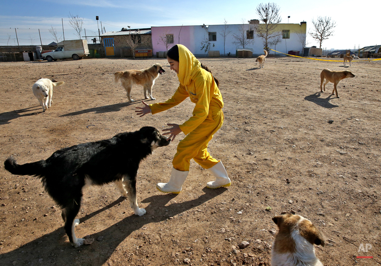 Mideast Iran Dog Shelter