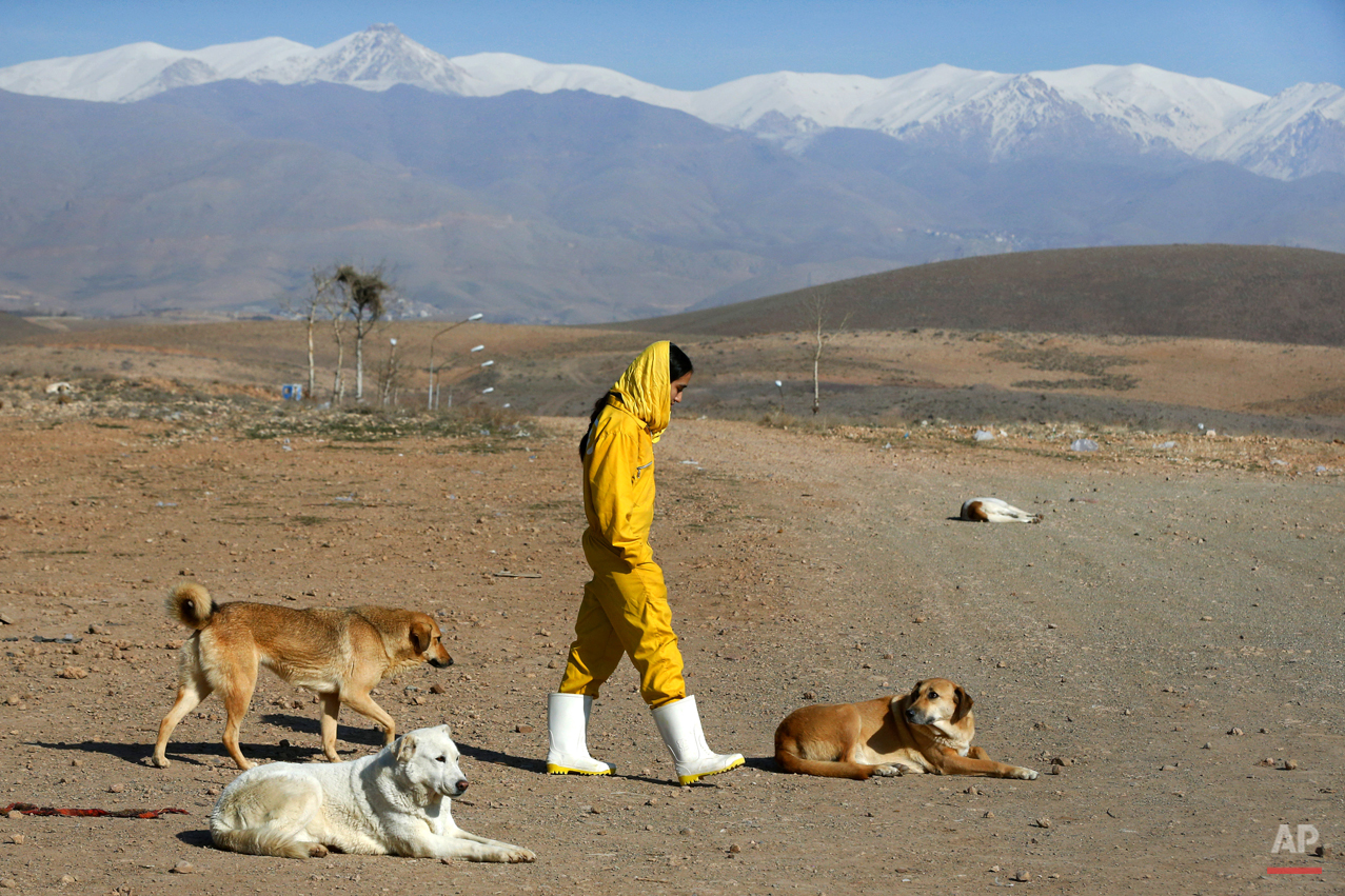 Mideast Iran Dog Shelter