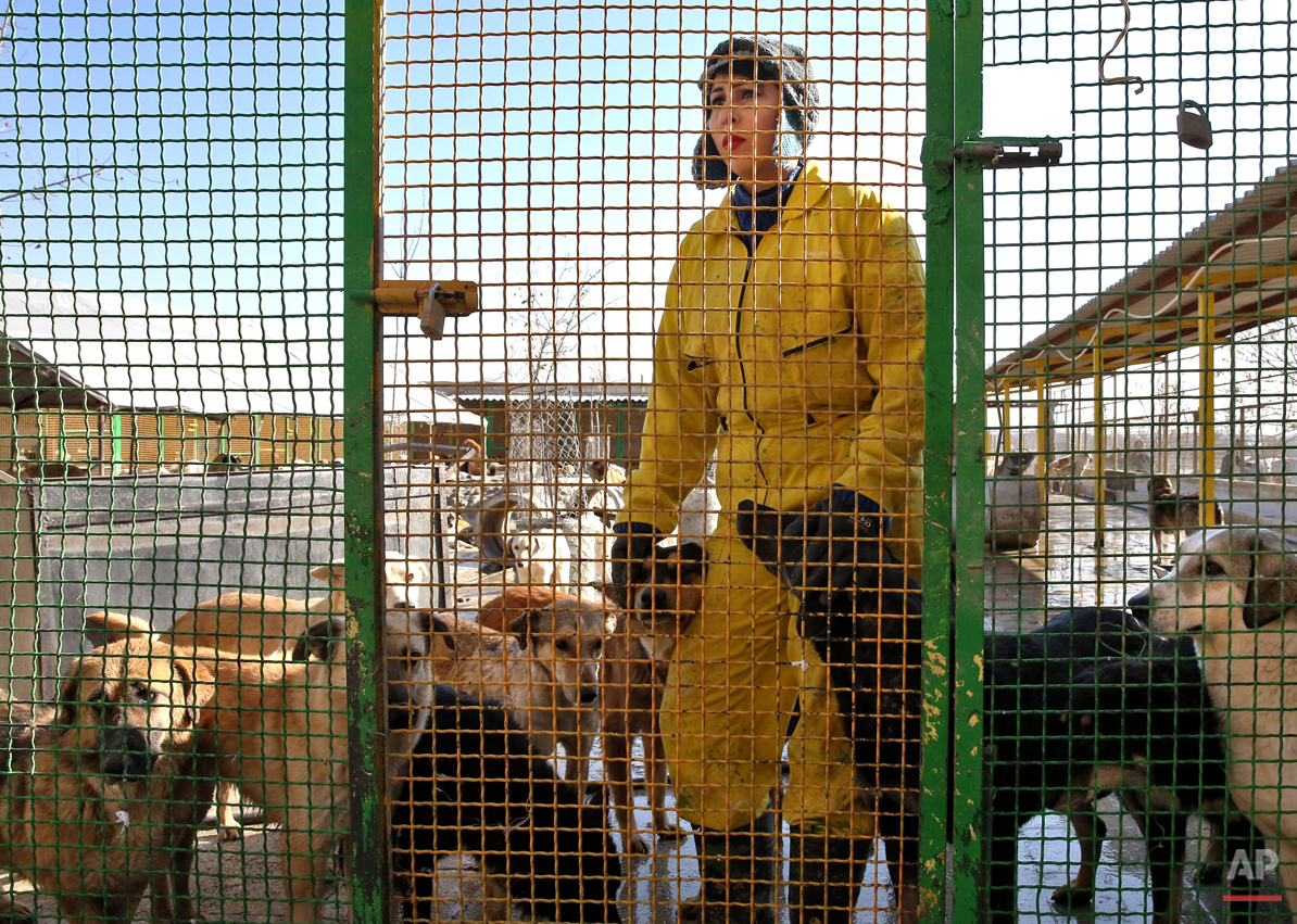 Mideast Iran Dog Shelter