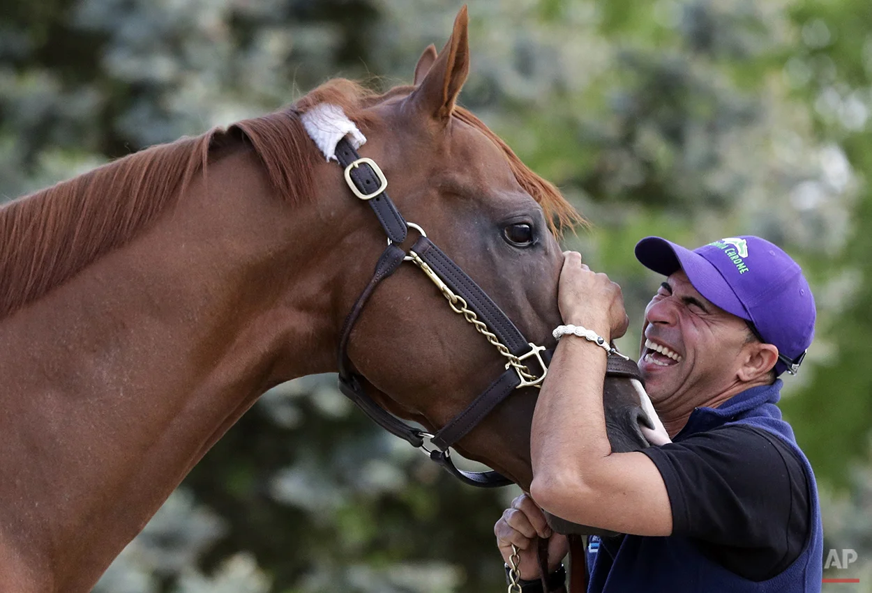 APTOPIX Preakness California Chrome