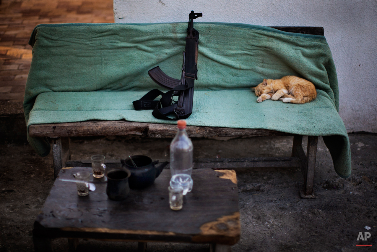A cat sleeps next a Kalashnikov weapon on a Hamas security check point in Gaza City, Tuesday, Oct. 30, 2012. (AP Photo/Bernat Armangue)