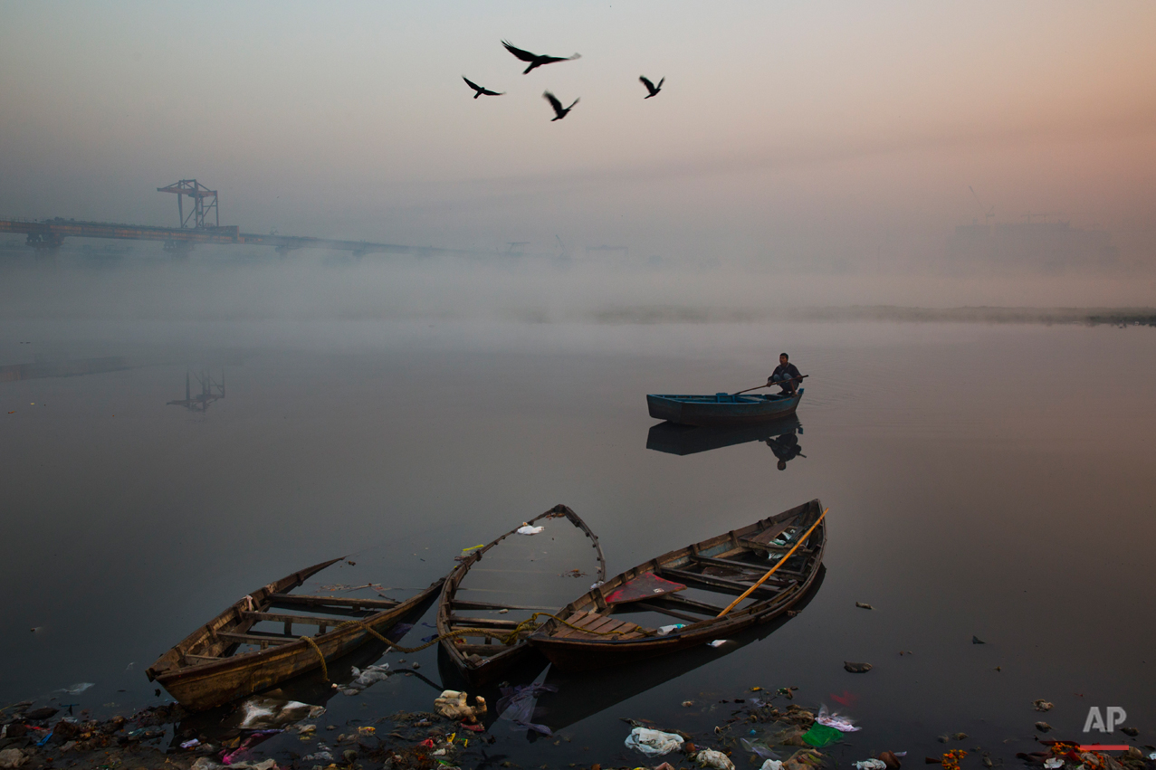  Birds fly past as a man rows his boat in River Yamuna in the morning in New Delhi, India, Tuesday, Dec. 9, 2014. Clogged with garbage, sewage and industrial runoff, the Yamuna, which is one of Indiaís major rivers, is also one of the most polluted.(