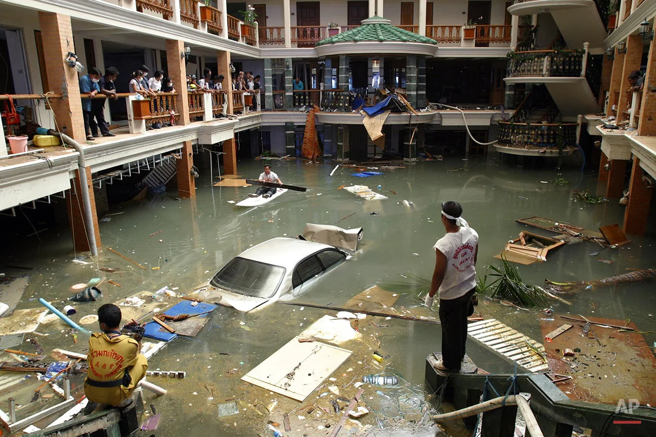 Tsunami A Look Back Photo Gallery