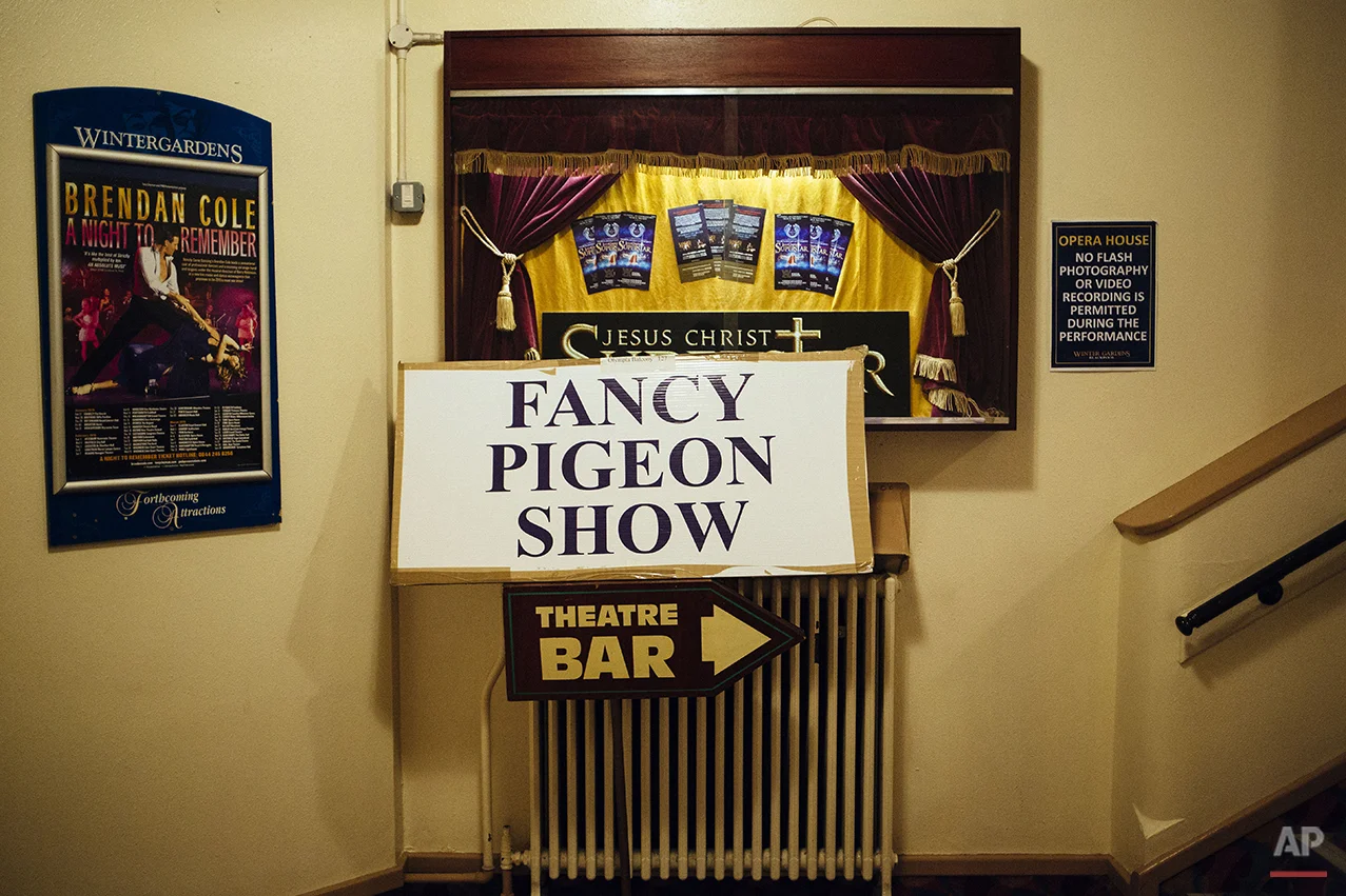 Britain Pigeon Fanciers