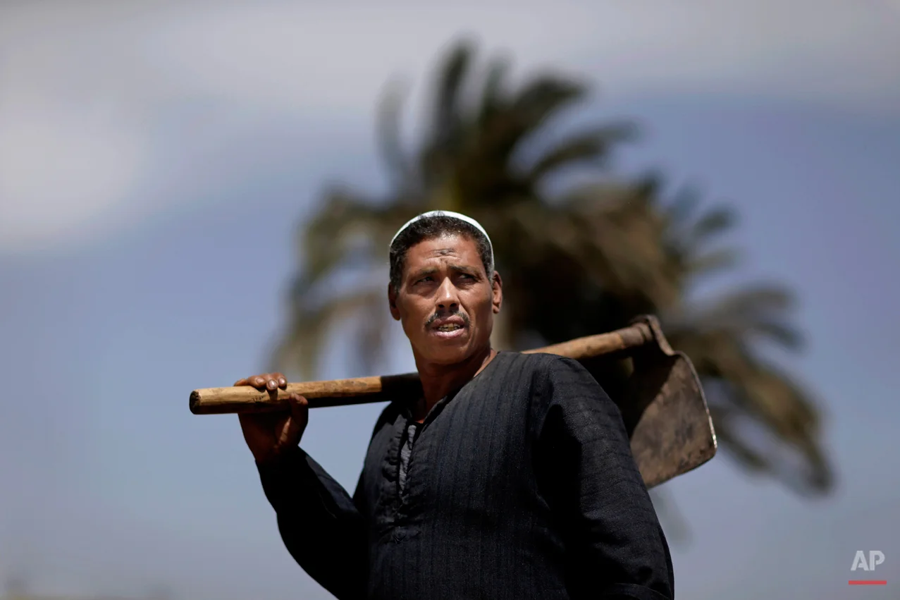 Egyptian farmer, Sayyed Abdel Nabi, 50, poses for a picture, as other Egyptian farmers harvest wheat on a farm, not pictured, in Qalubiyah, North Cairo, Egypt, Monday, May 13, 2013. Egypt's wheat crop will be close to 10 million tons this season, agriculture minister Salah Abdel Momen said, as the harvest gets underway, more than the supply minister's 9.5 million ton forecast. (AP Photo/Hassan Ammar)