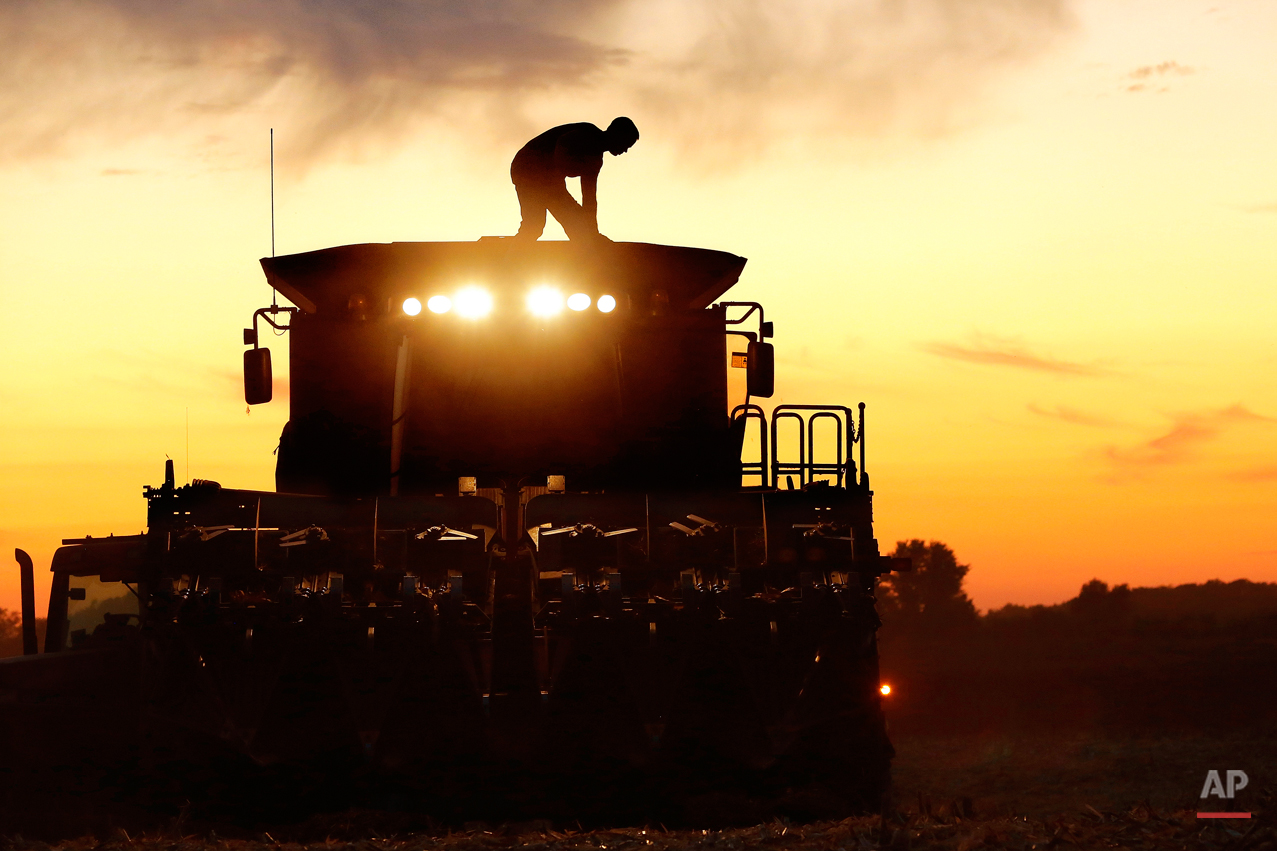 APTOPIX Corn Harvest Illinois